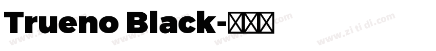 Trueno Black字体转换